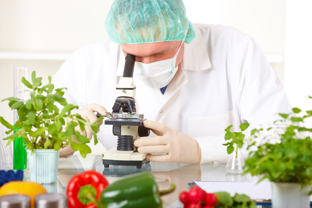 Výzkum v laboratořích Výzkum v laboratořích