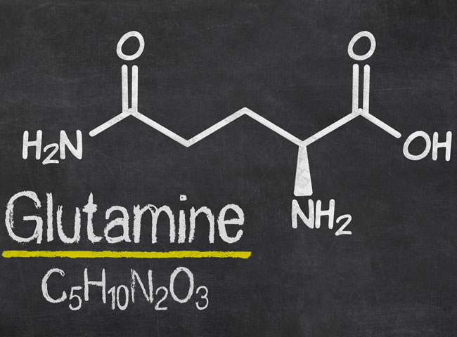 Glutamin je vhodný zejména, pokud chcete zlepšit regeneraci svalů.