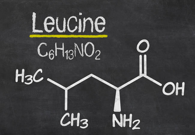 Leucin, valin a isoleucin jsou klíčové BCAA aminokyseliny, které podporují svalovou sílu a objem.