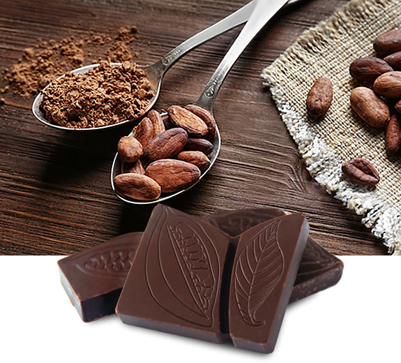 Kakaové boby pro proteinovou čokoládu KetoFit